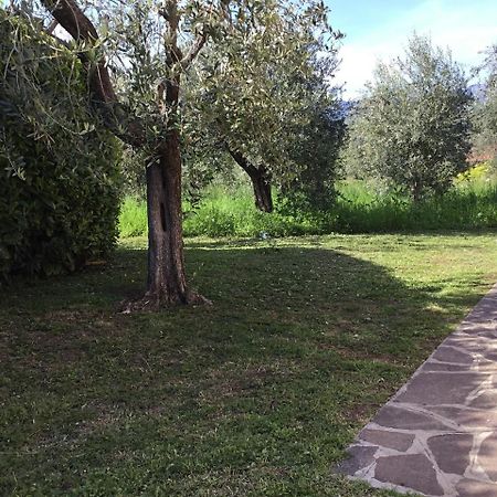 Bio Forester Manerba del Garda Exterior photo