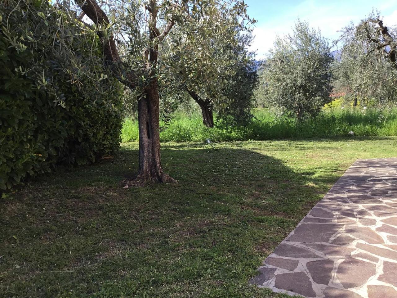 Bio Forester Manerba del Garda Exterior photo