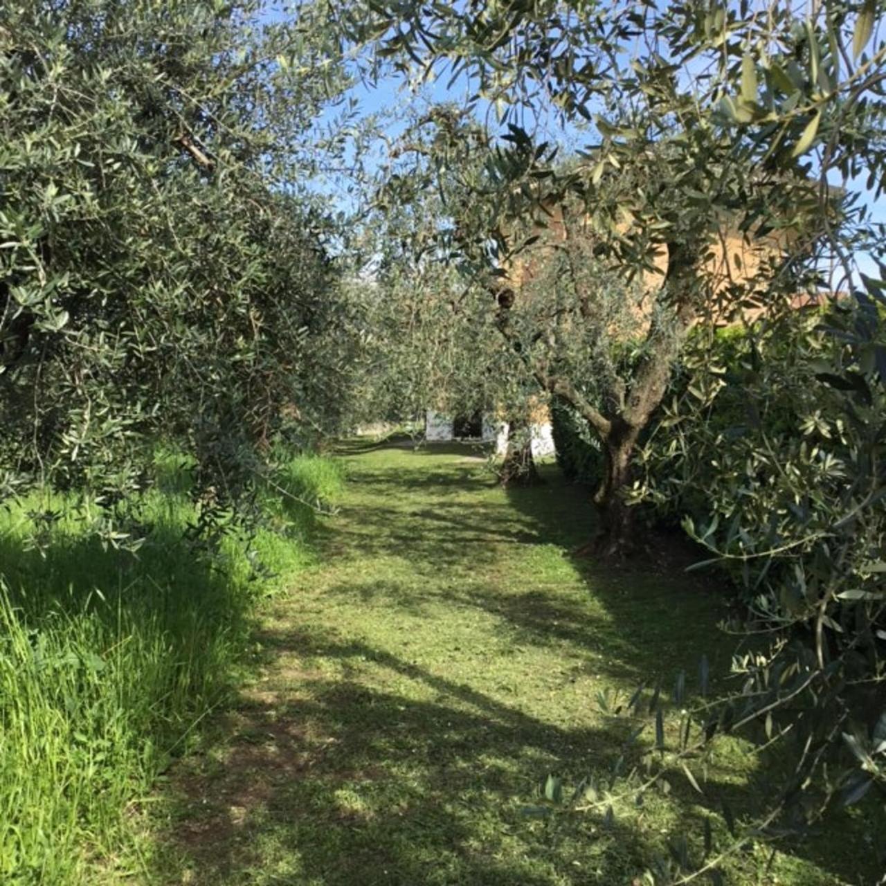 Bio Forester Manerba del Garda Exterior photo